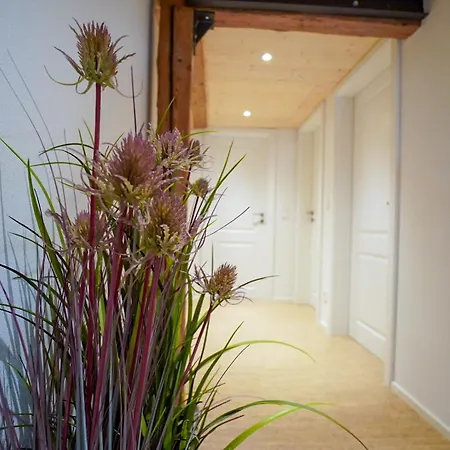 Apartamento Cozer Living - Stilvolles Maisonette In Messstetten